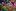 690683543 1274370728011373 7153526266769067319 n